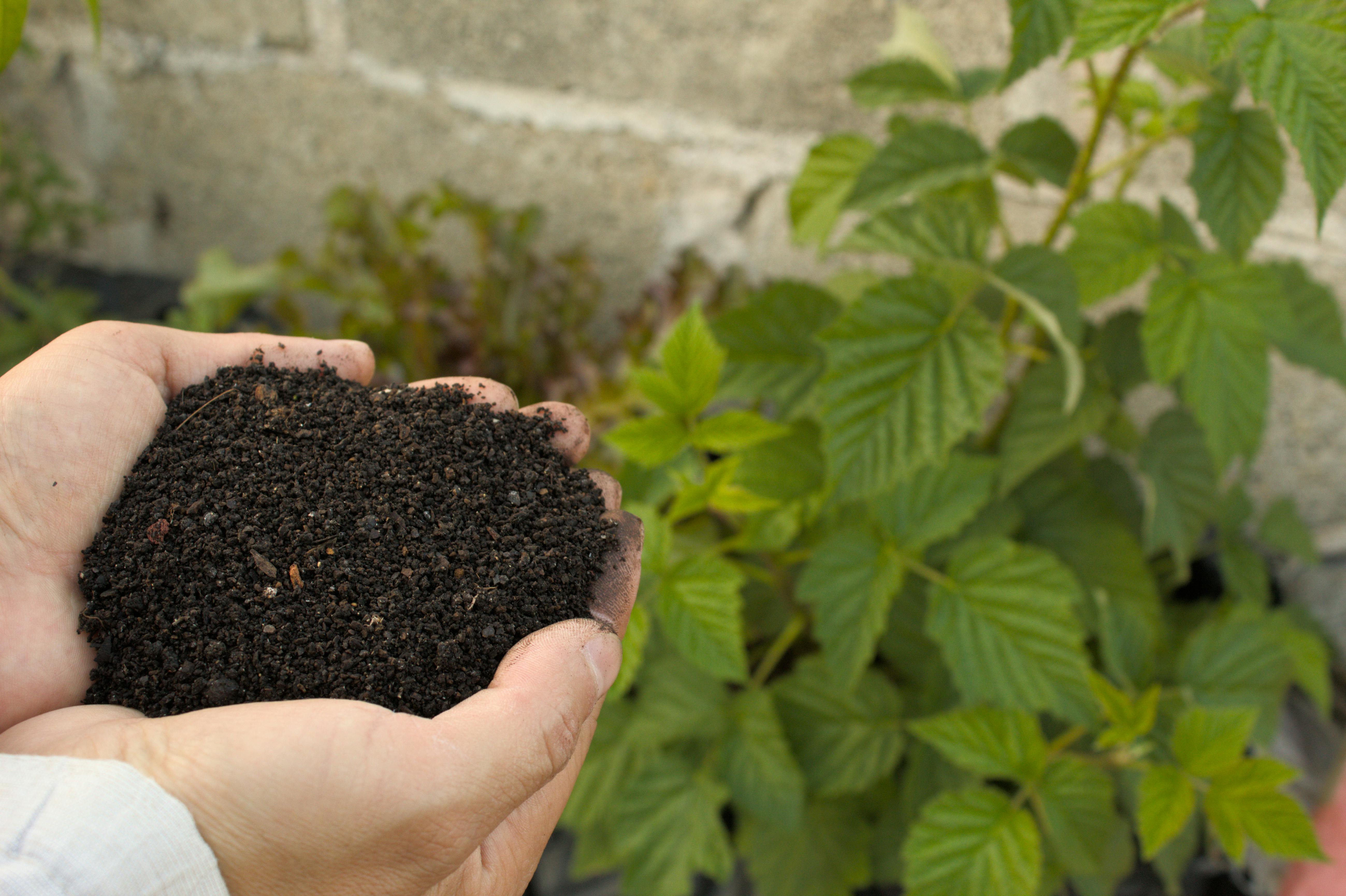 SoilSenseBD